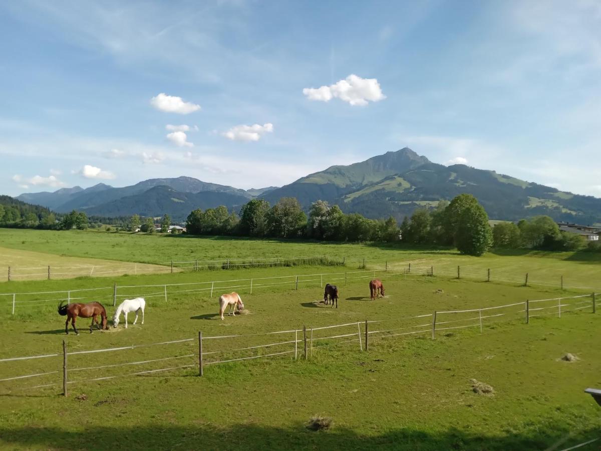 Apartment-Pension Schmiedererhof Sankt Johann in Tirol Esterno foto